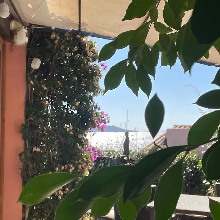 Holiday home Bougainville Porticcio (Corsica)