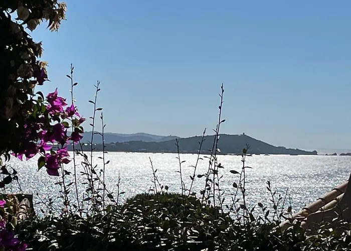 Bougainville Tatil Evi *